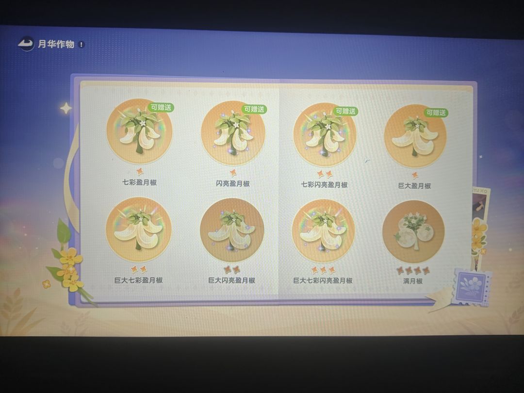 有人要换不 1