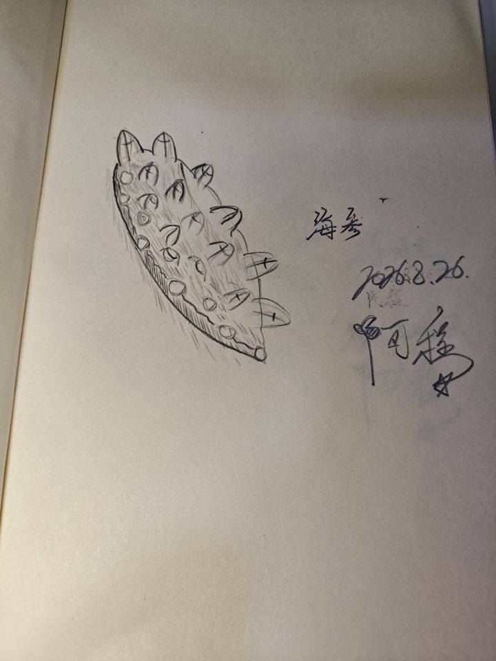海参!截图