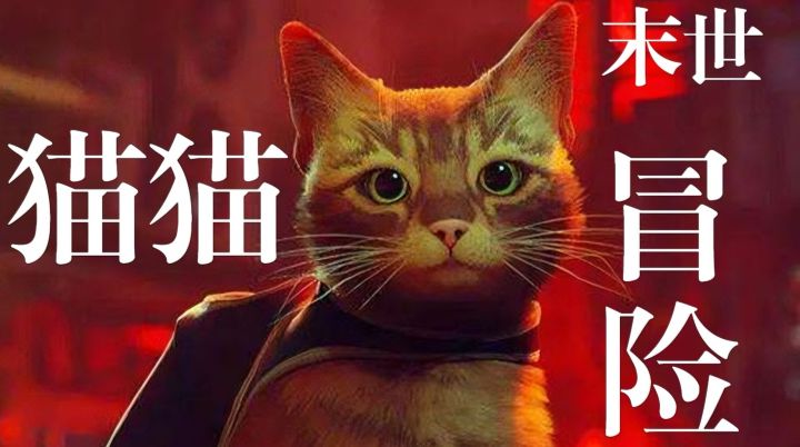 赛博猫跳跃模拟《Stray》动作捕捉,优缺点并存但猫奴必入截图