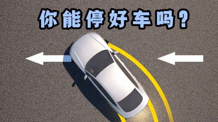 🔥挑战停车入库,测测你的驾驶技术❗️截图