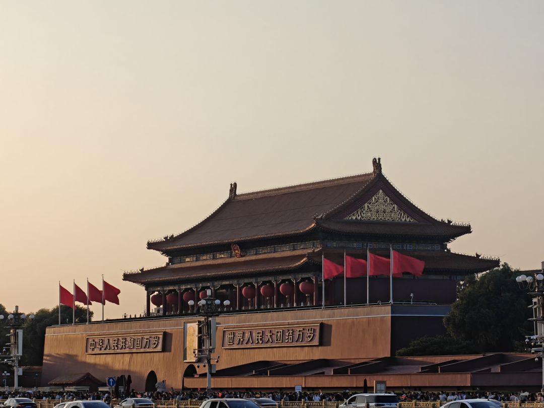 开发者日志D02R022026100201 1
