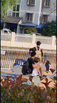 动态图片 2