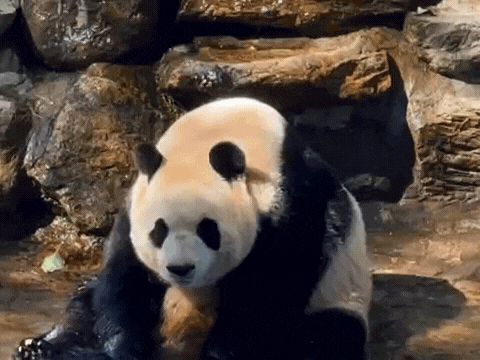 周年庆典兑换码持续更新截图