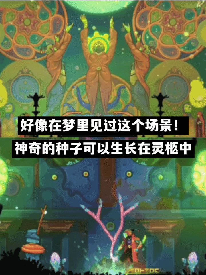 🍄这游戏的美工是吃了毒蘑菇吗?! 5