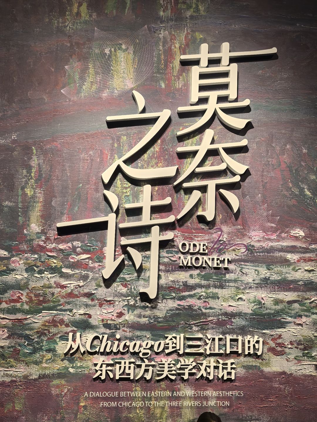 是睡莲 1