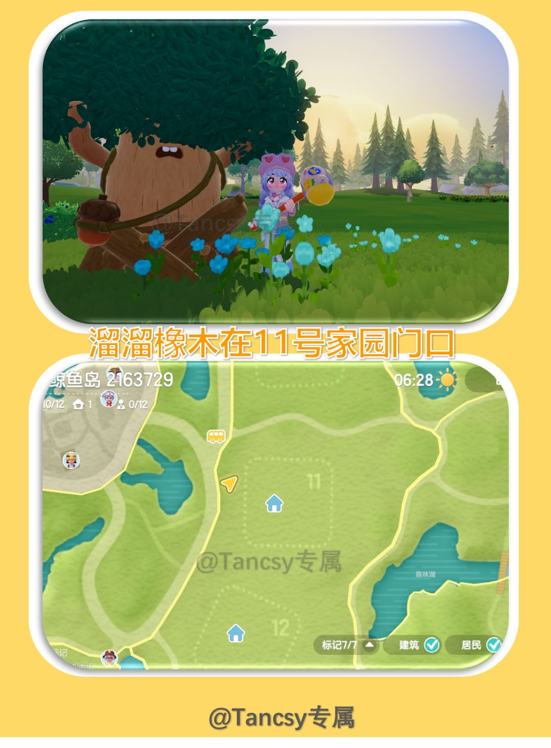 📅8.25 心动小镇每日采集点位更新 3