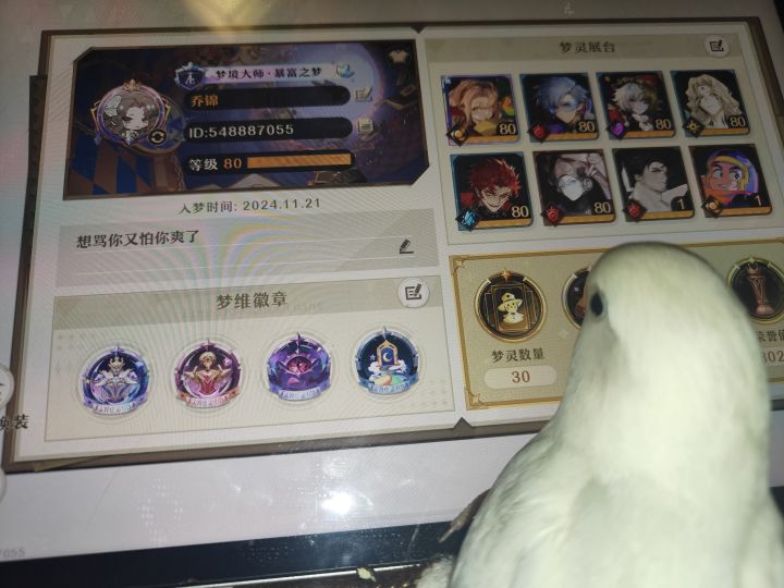 有组队角逐的么?可开麦截图