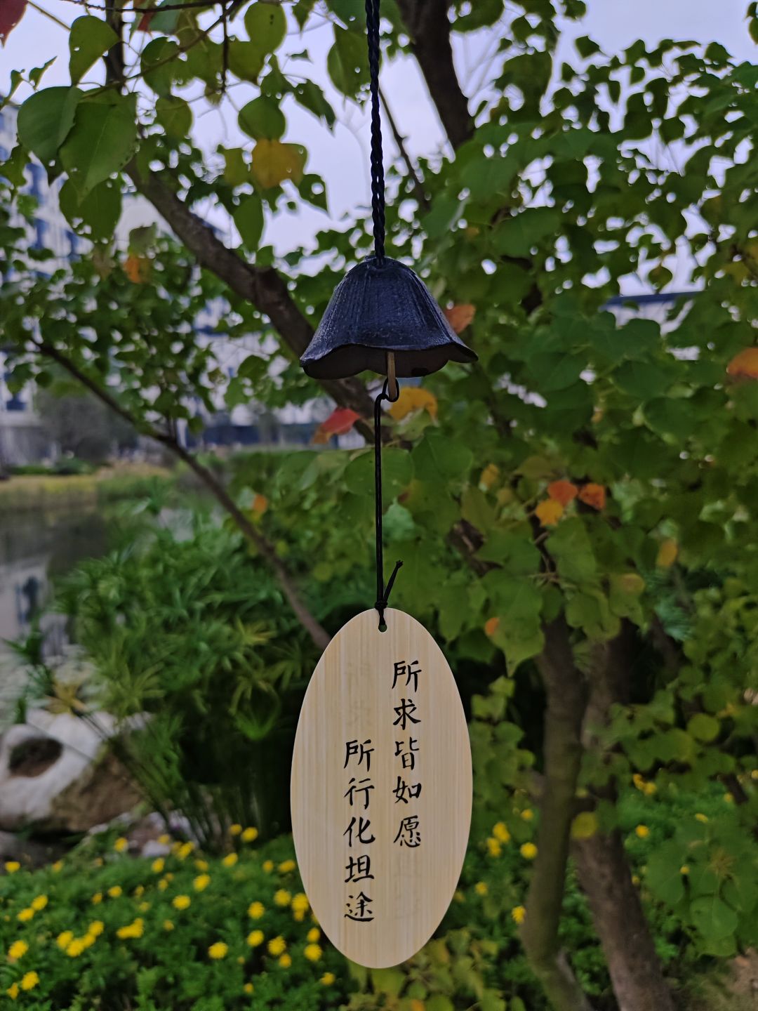这是一个贴子 9