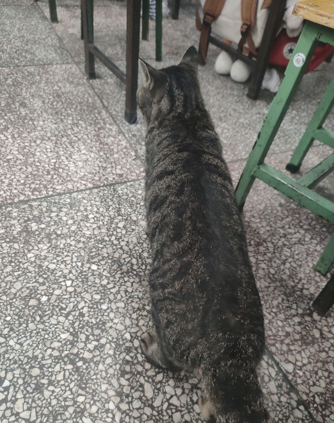 内有猛虎 2