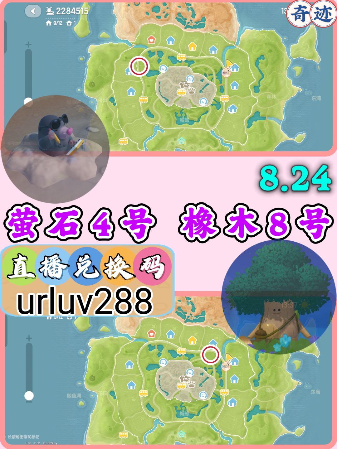 8.24橡木萤石 白色鸭子家具截图