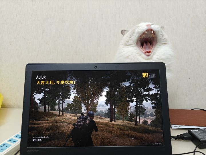 单人四排吃鸡截图
