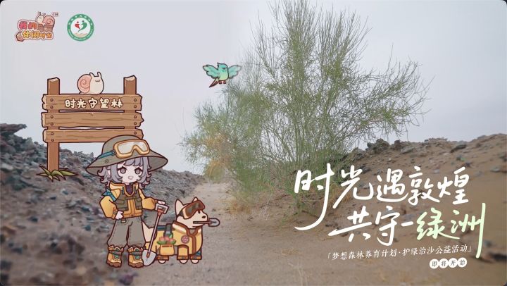 🌳「时光遇敦煌,共守一绿洲」公益PV现已发布!截图