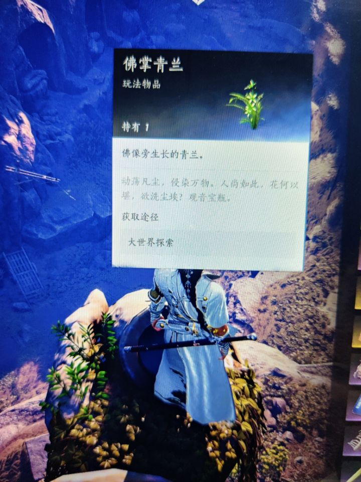 有人知道怎么放进去吗？截图