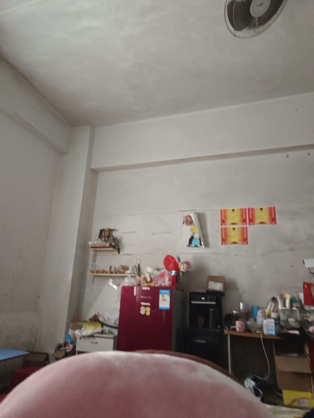 动态图片 8