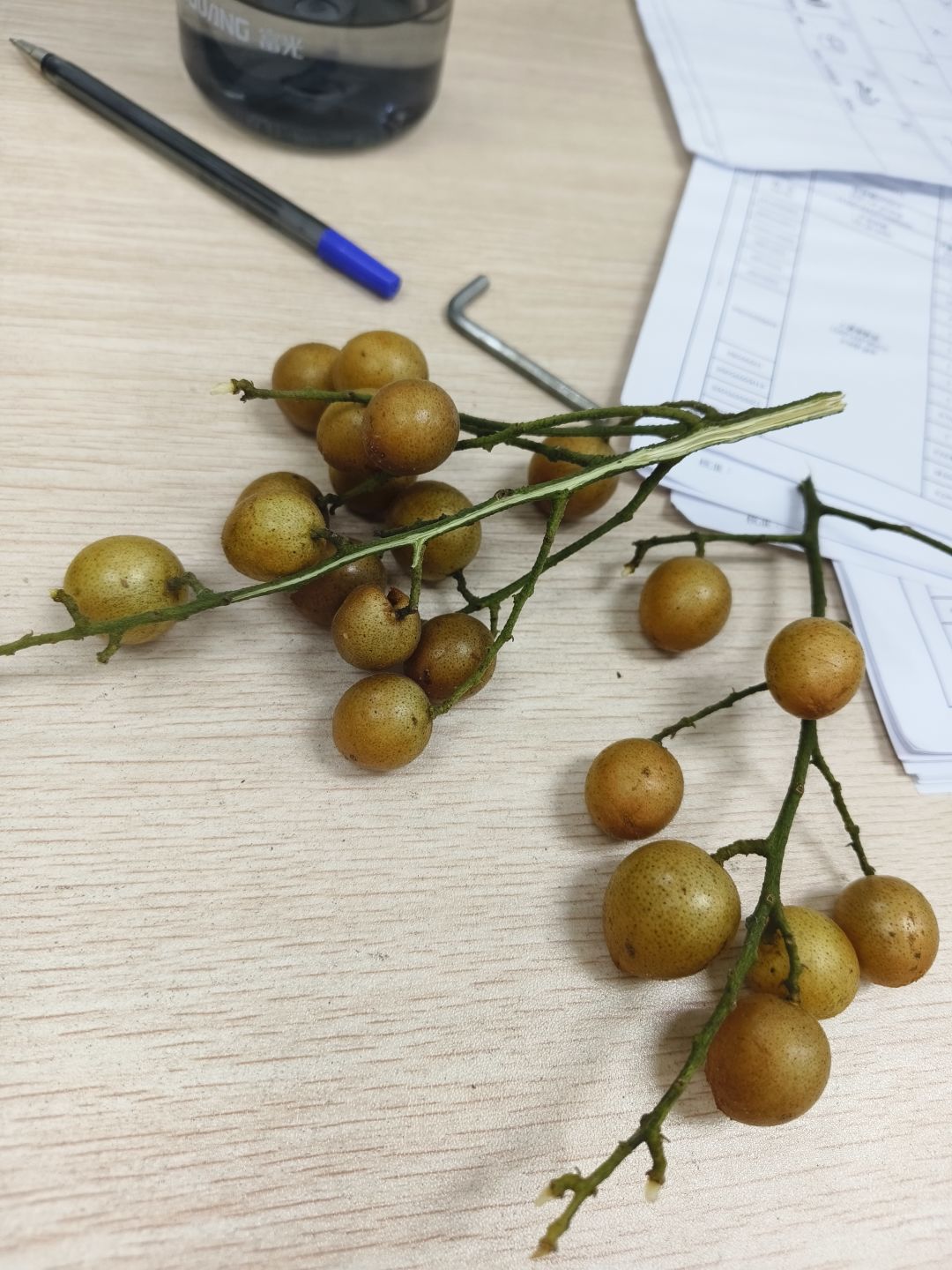 无需多言 1