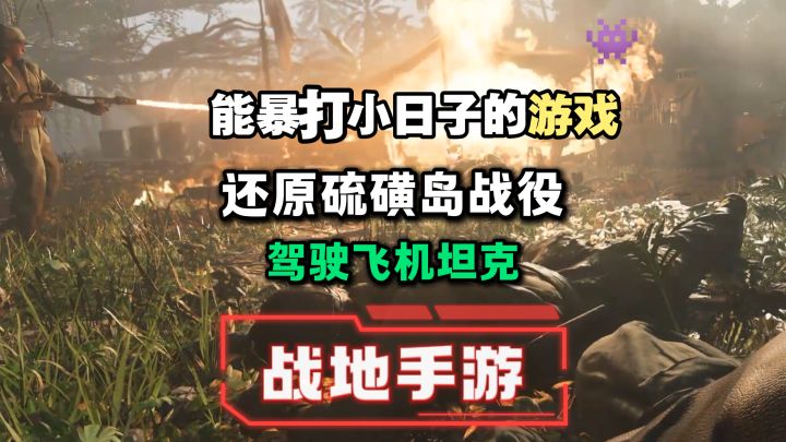 能暴打小日子❗还原真实战场，驾驶飞机坦克，百人对战，超爽❗截图