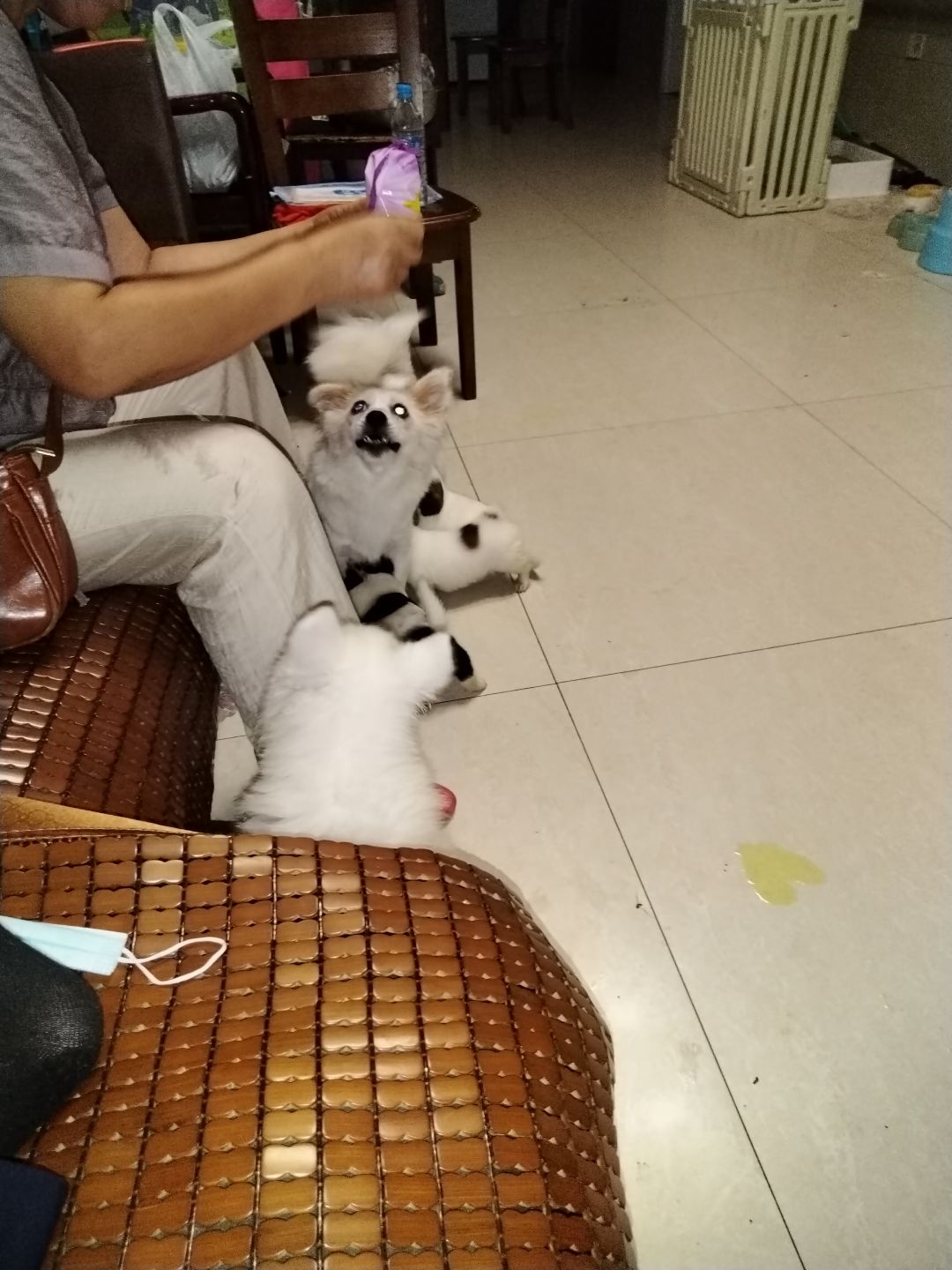 动态图片 7