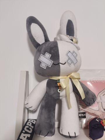 牢猫你回来了！