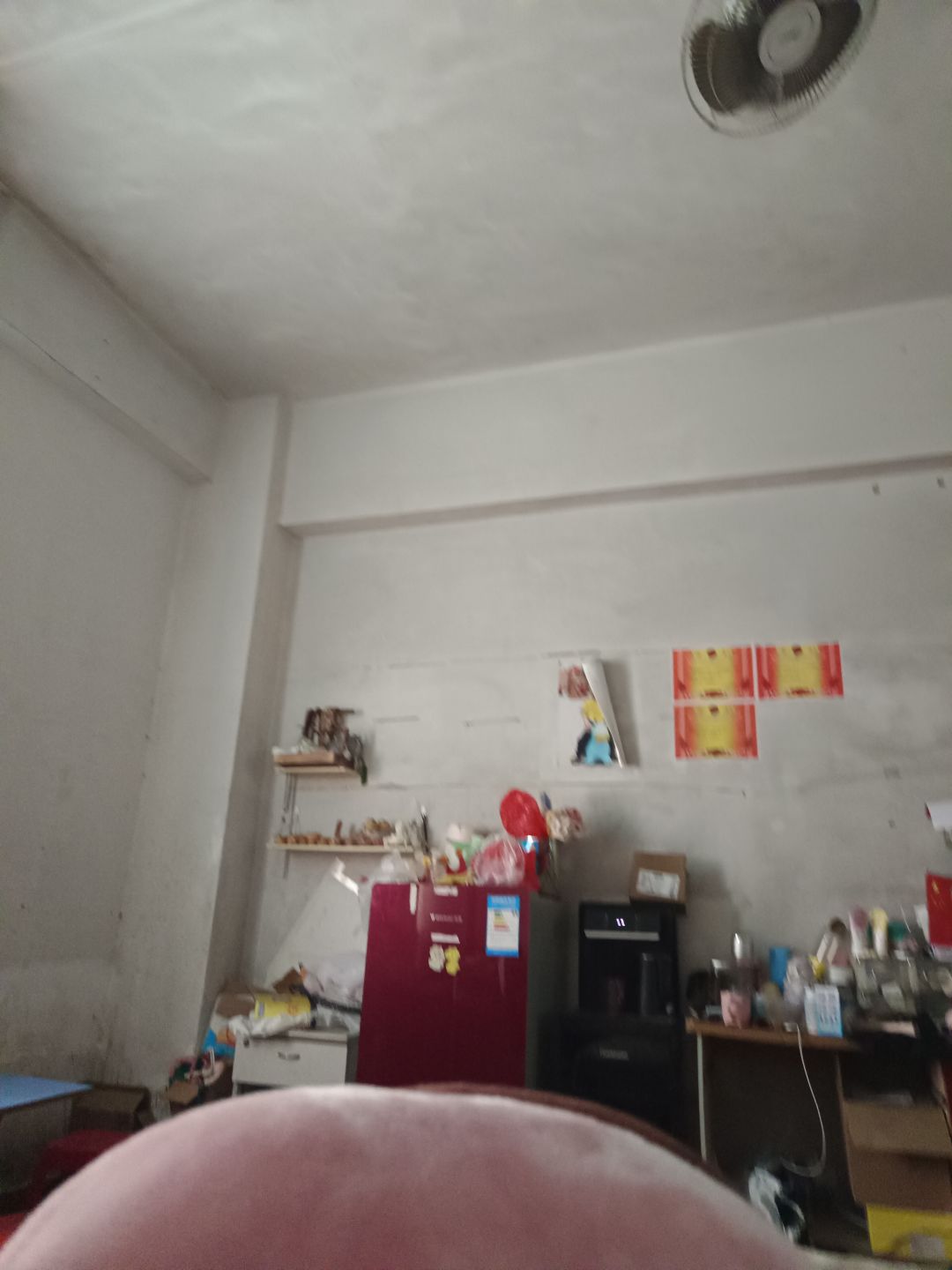 动态图片 3