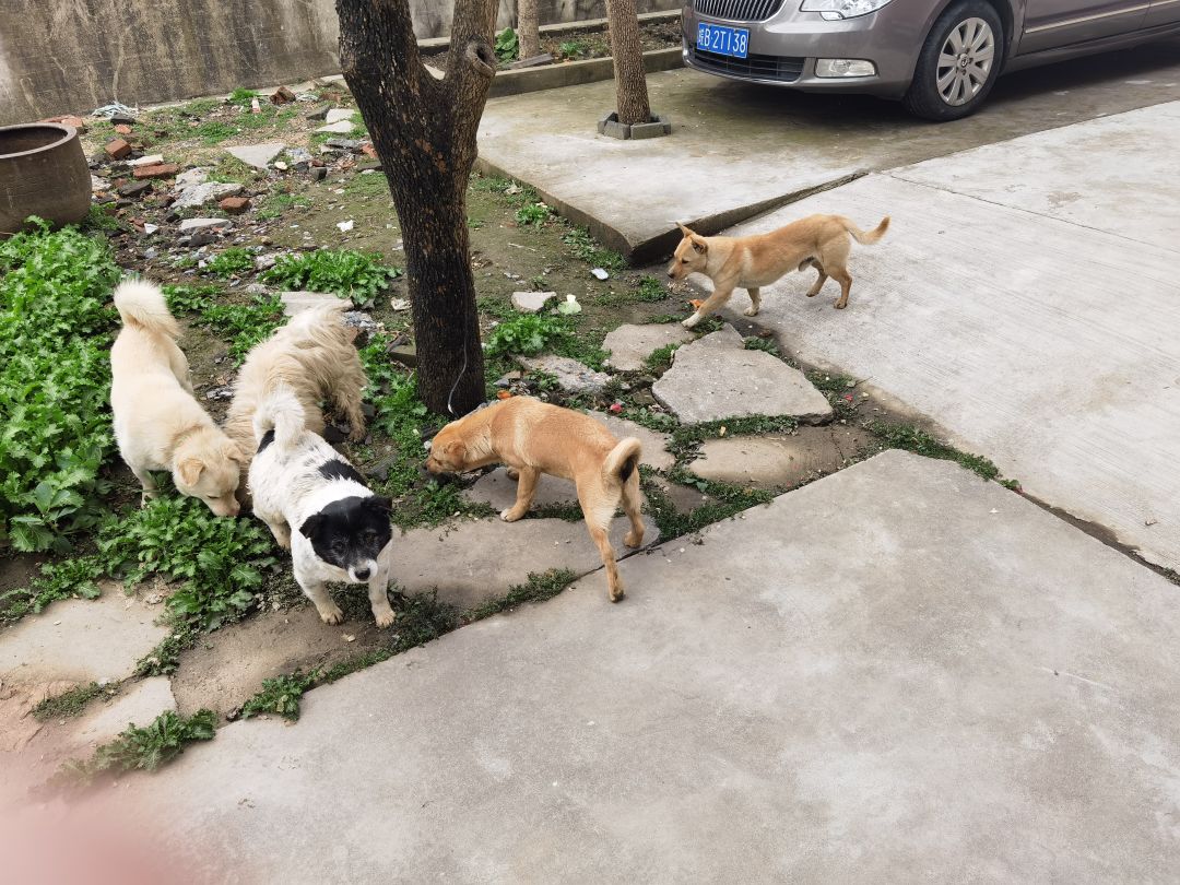 动态图片 2