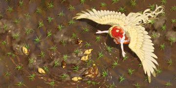 牧师竞技场小技巧（不压血情况）