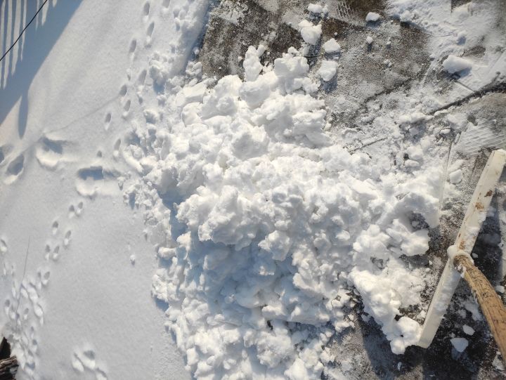 这两天一直下雪，好多年没见过这么多雪了，趁着雪还没化，堆了月兔雪人 o((*^▽^*))o截图