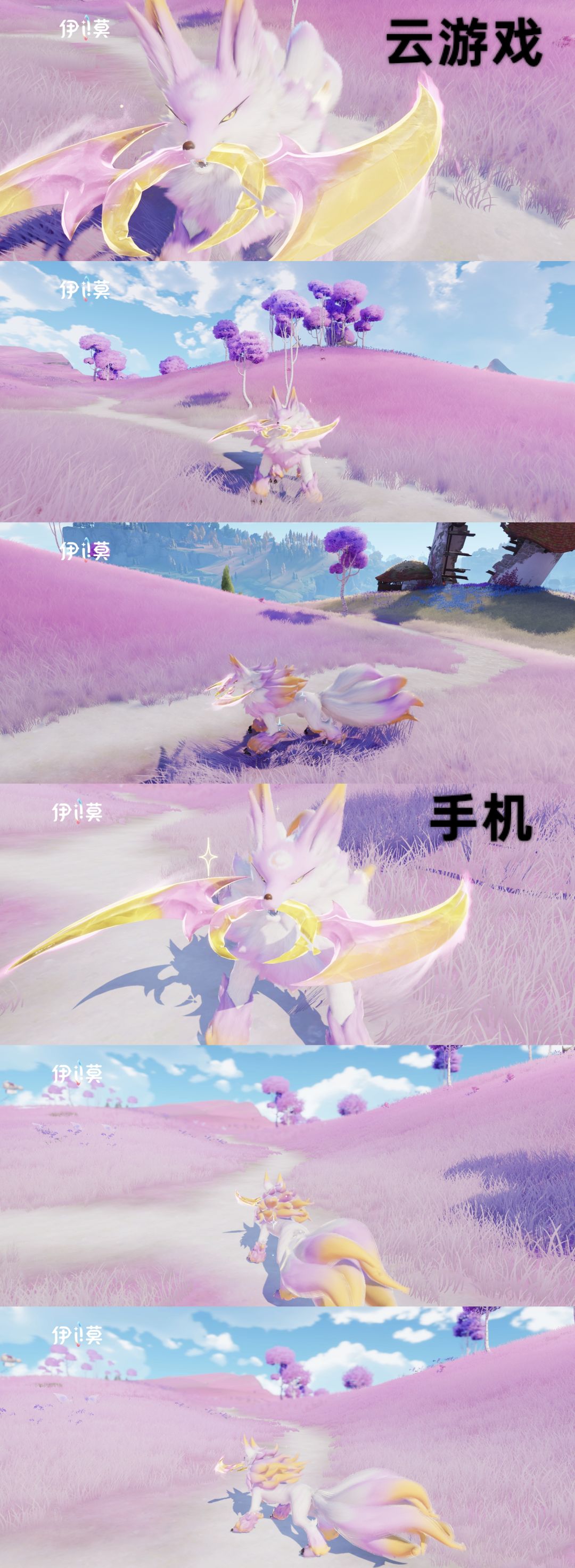 移动端伊莫画质希望优化 3