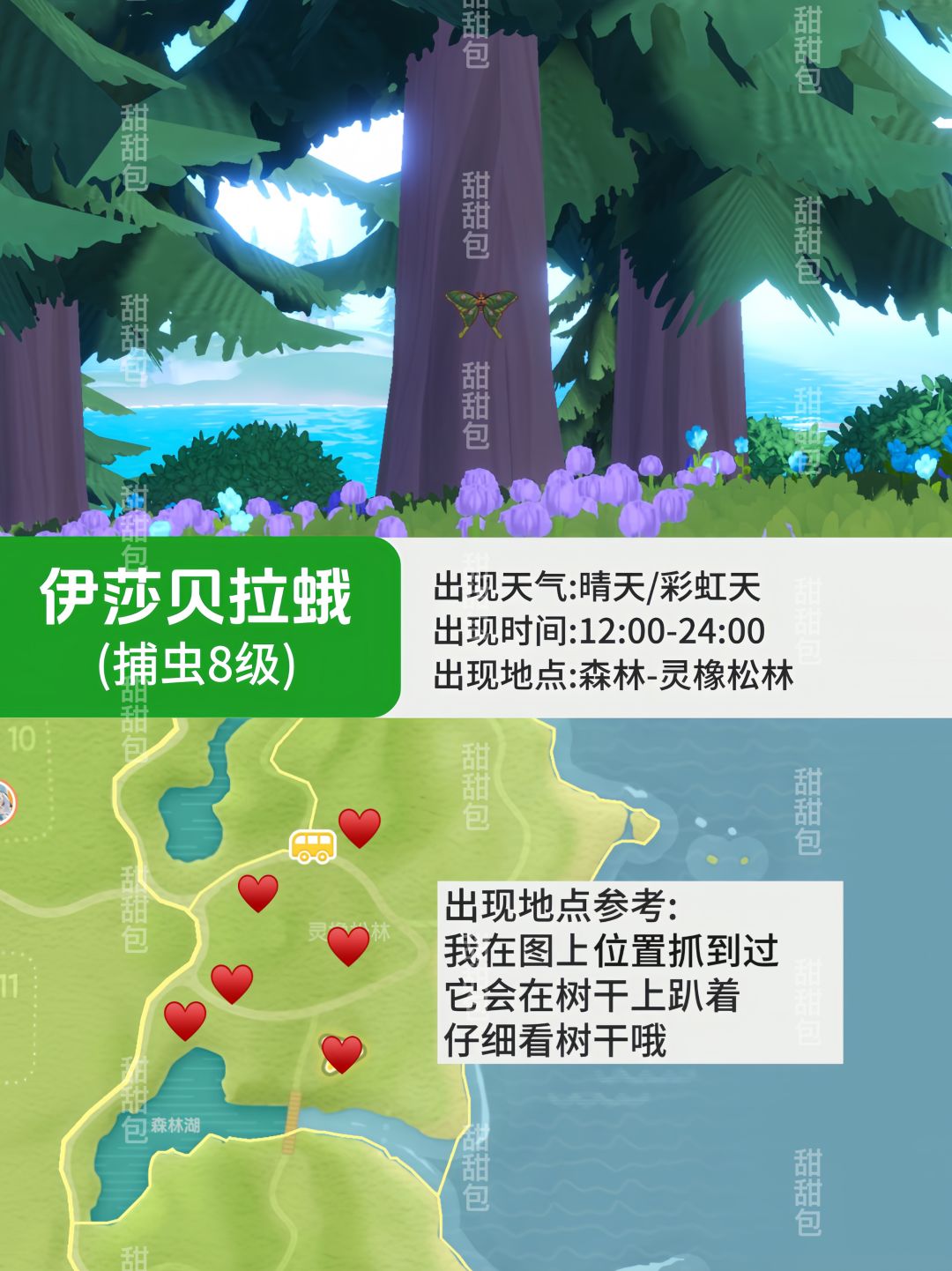 心动小镇那些难找的虫丨捕虫点位参考Vol.1 2