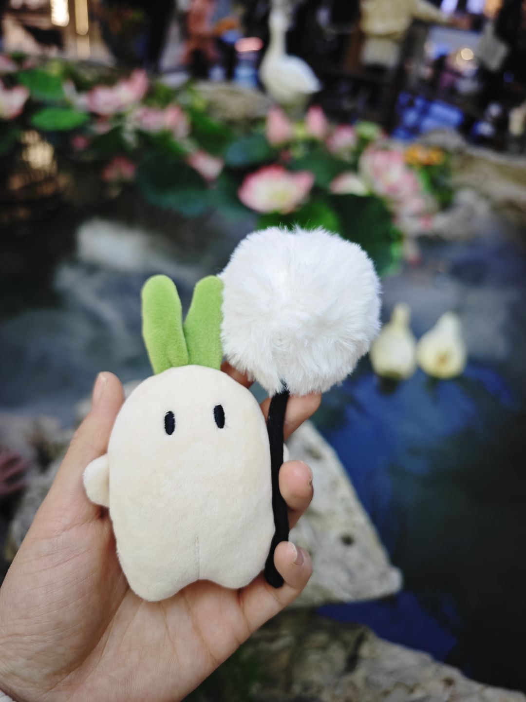 〃∀〃咻~蒲公英飞啦！出发！ 3