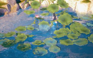 著名coser苏暖暖复刻荷花池名场面