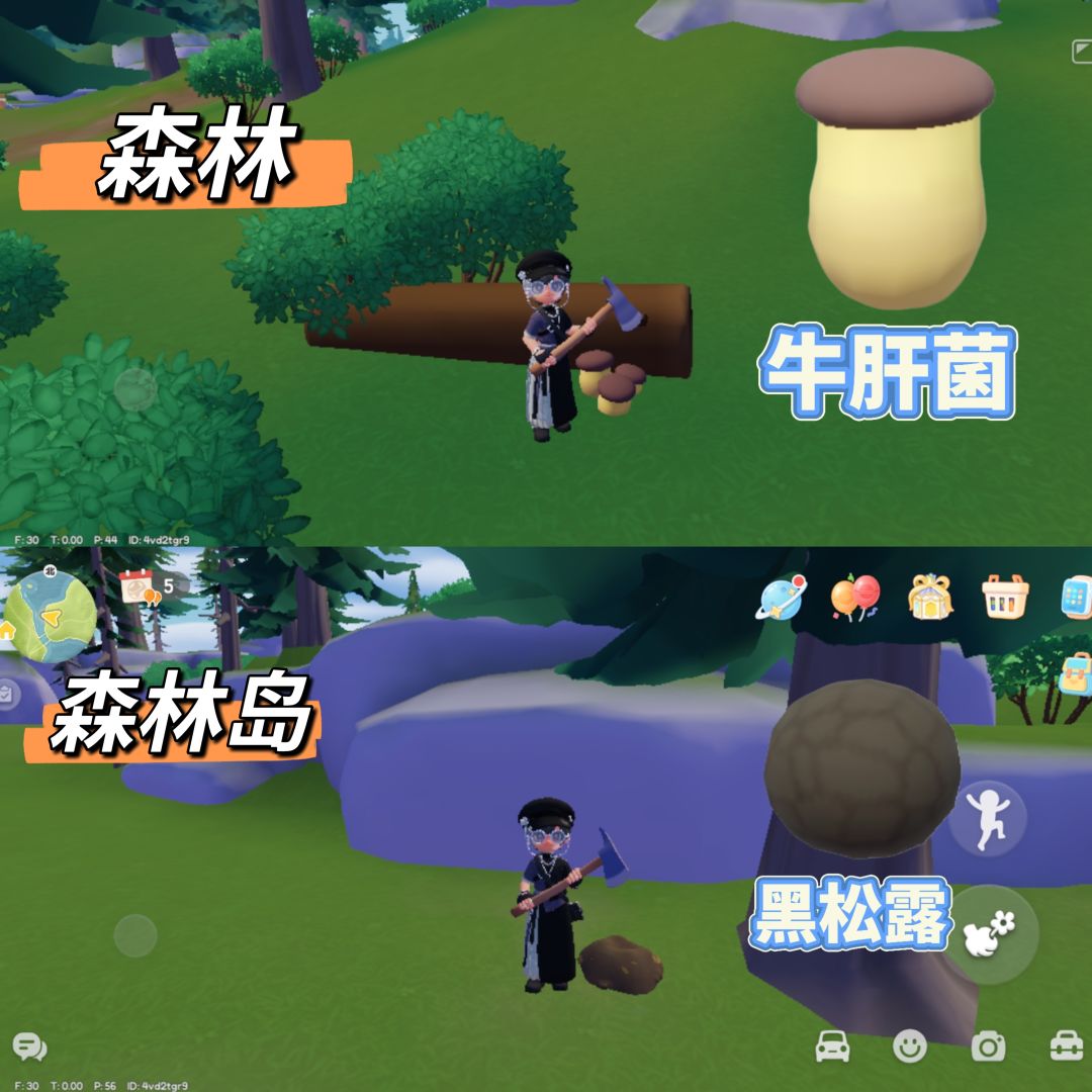 心动小镇新增的蘑菇玩法攻略 3