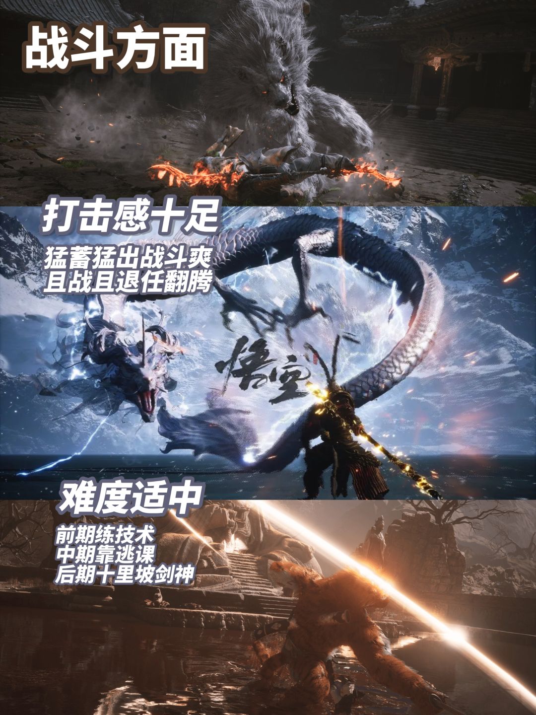 褒贬不一的国产3A,《黑神话悟空》评鉴 3