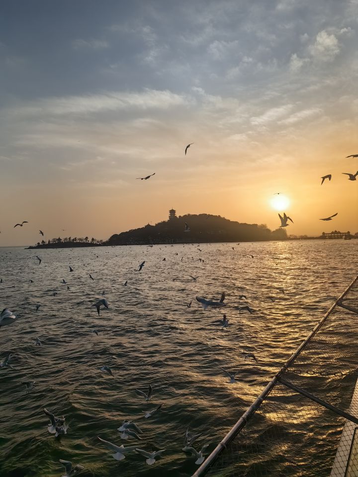 想问下之前测试的存档公测会继承吗还是要重新开始截图