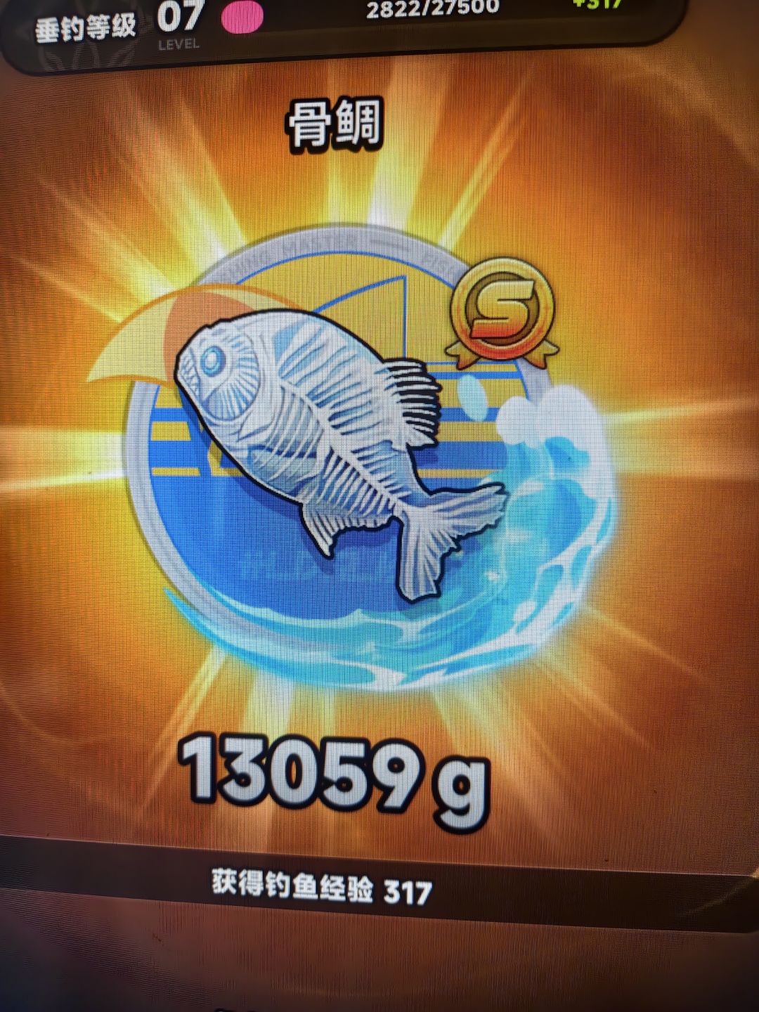 今天鱼获 5