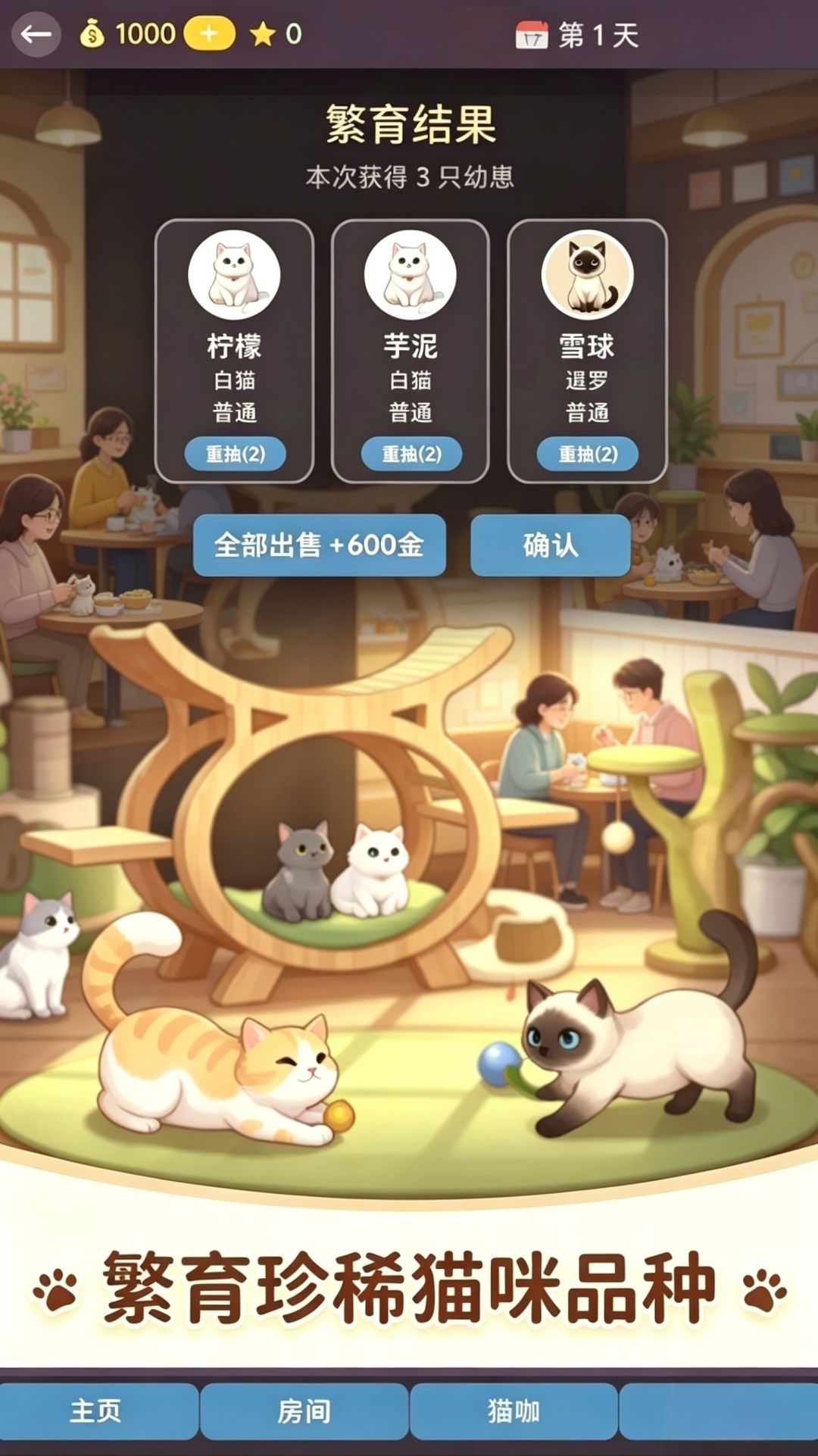 游戏上新《猫咖模拟器》 2