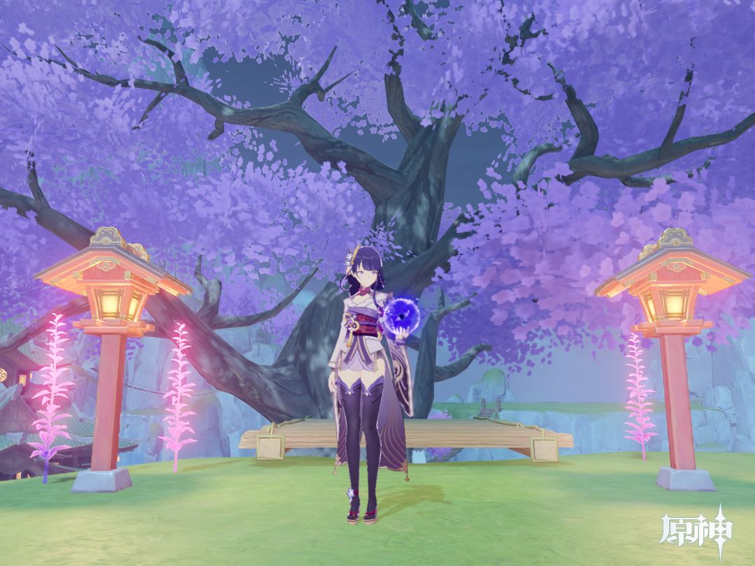 原摄 3