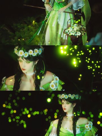 📸燕云拍照Ⅰ腐草化萤，熠耀宵行