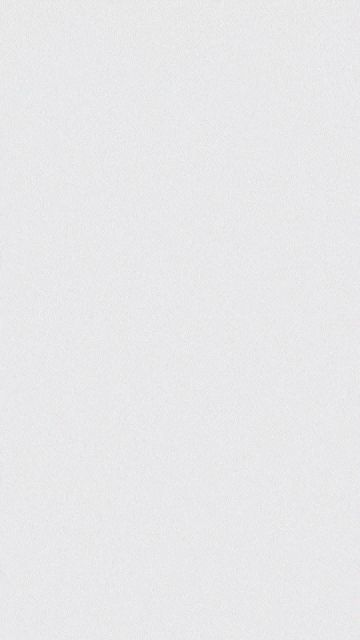 【特勤档案】晓 | Dawn