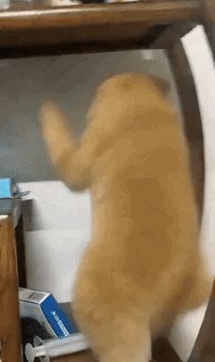 102终于是过了截图