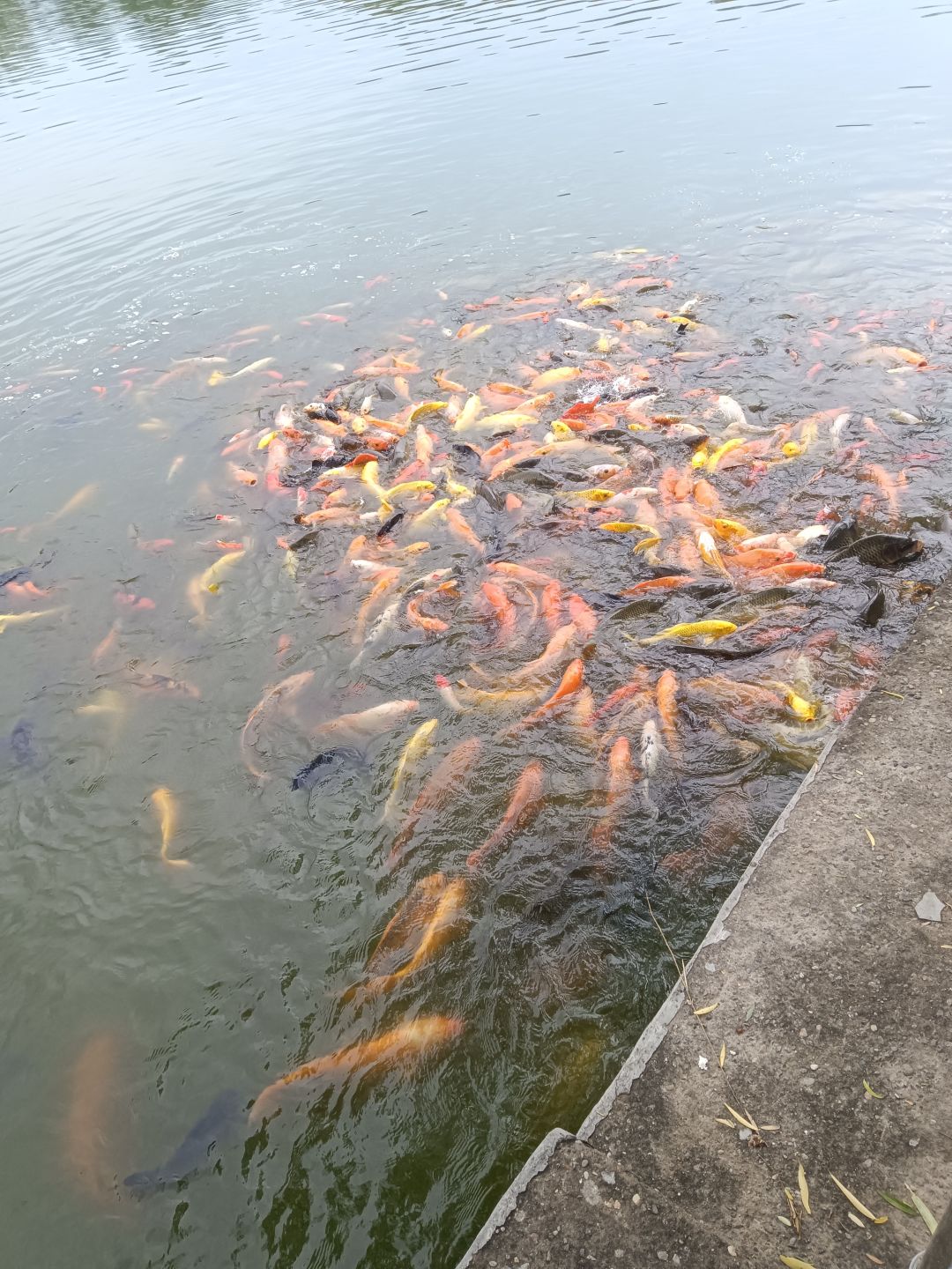 我们在北京上班 7