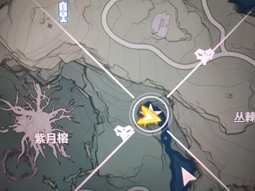 异相龟龟-新刷新点位 2