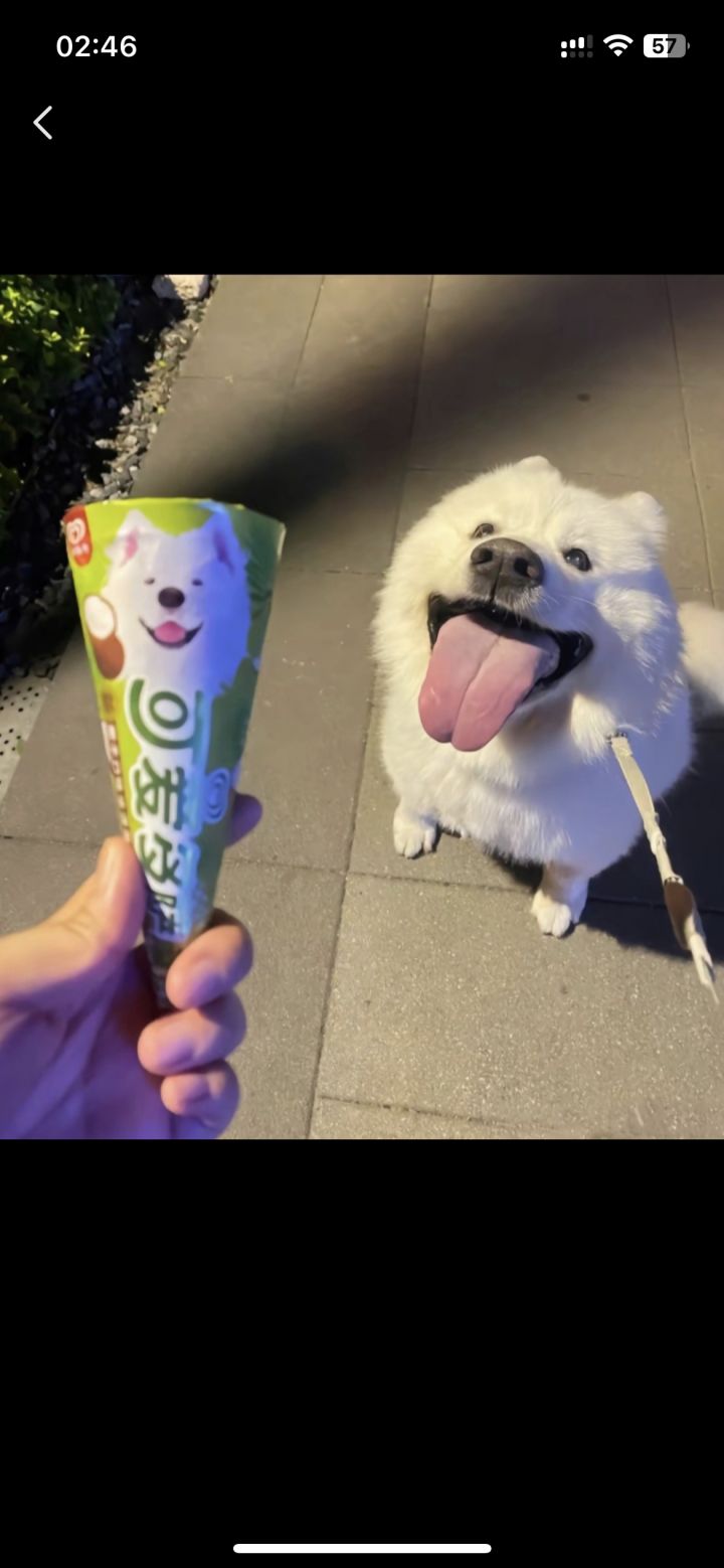 丝之歌发售,就在9.4截图