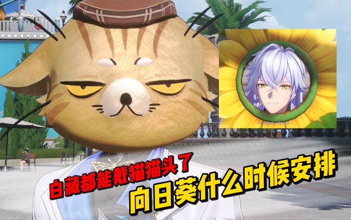白藏都能戴猫猫头了,向日葵什么时候安排?截图