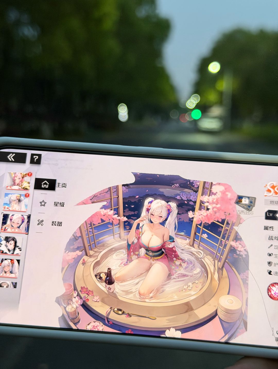 带着二次元老婆散散心 1