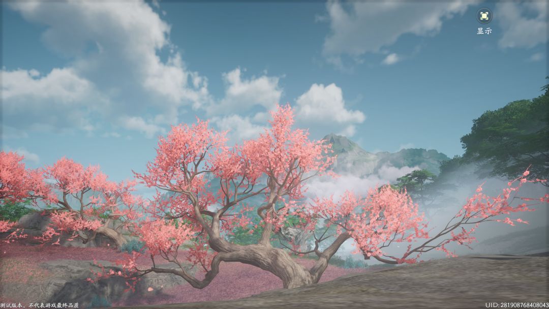 桃花坞里桃花庵 5