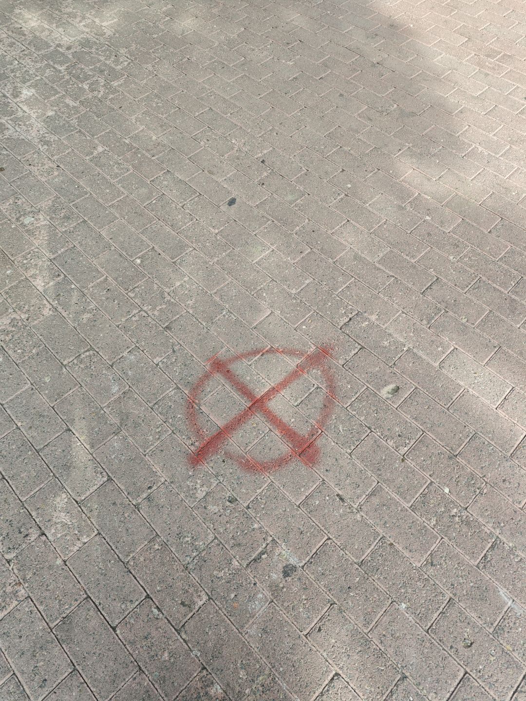 好眼熟啊 1
