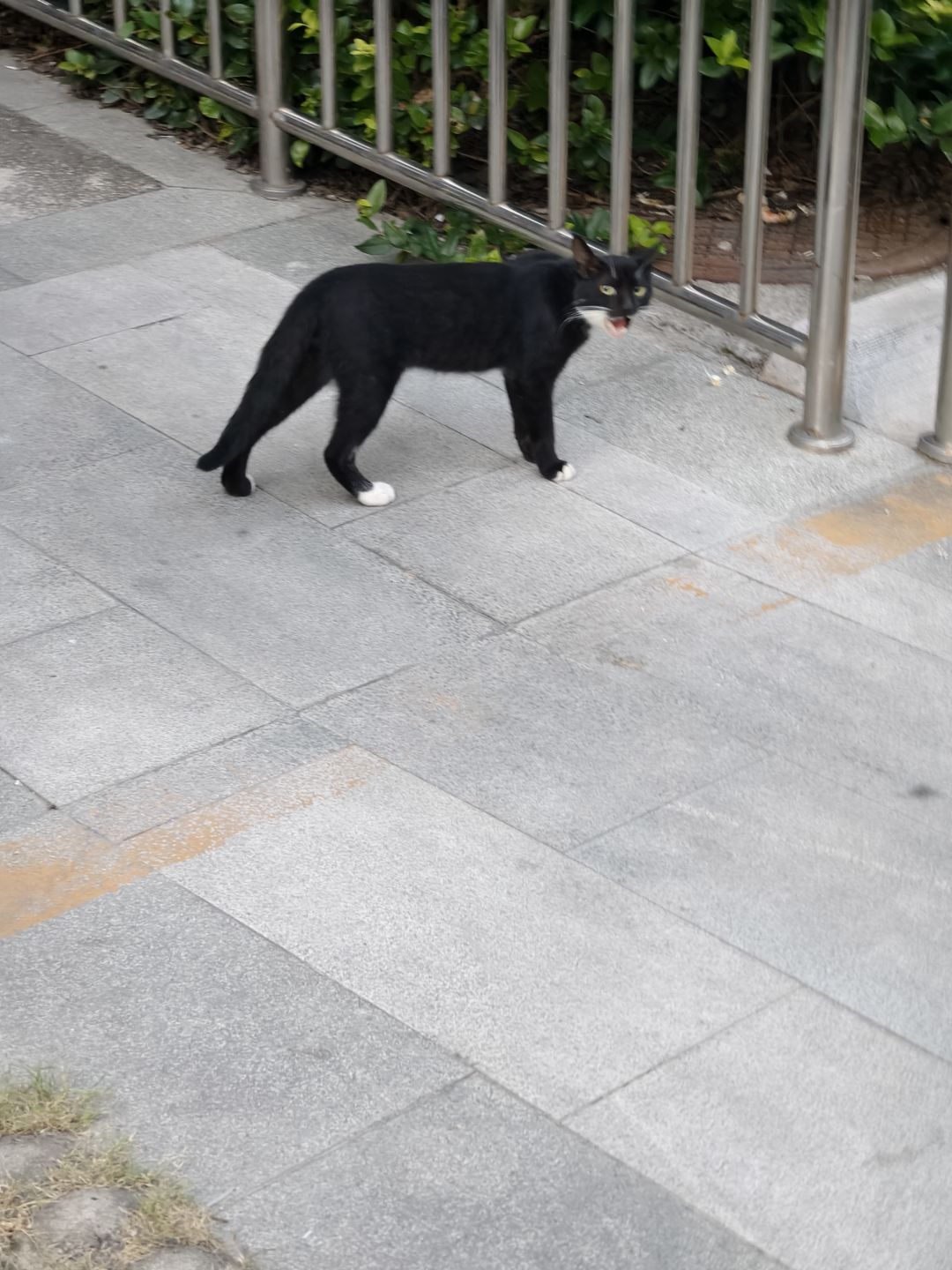 有没有微信小程序的好友哇 1