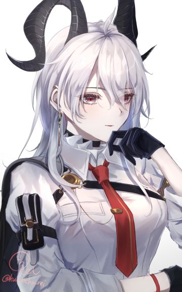 《劳模赞妮》自传节选