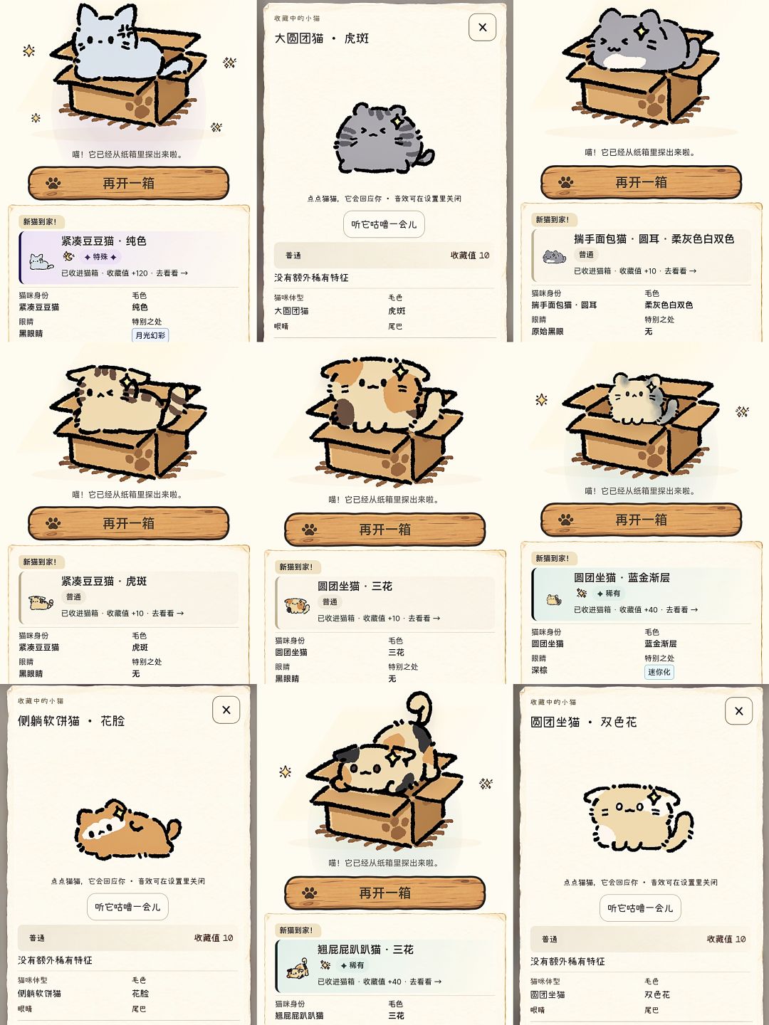 《纸箱猫》｜一些喜欢的猫猫 3