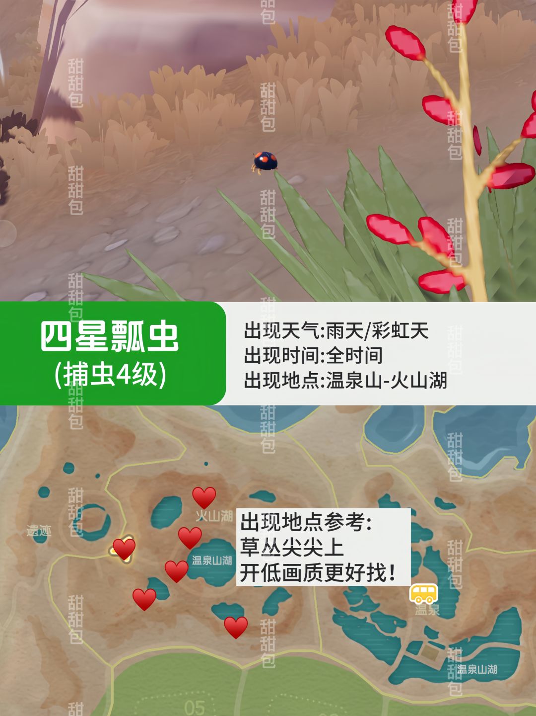 心动小镇那些难找的虫丨捕虫点位参考Vol.2 3